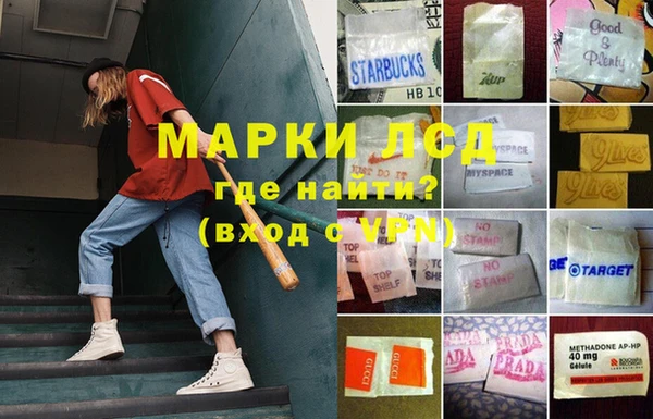 хмурый Алексин