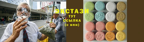 хмурый Алексин