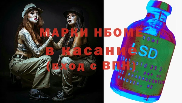 хмурый Алексин