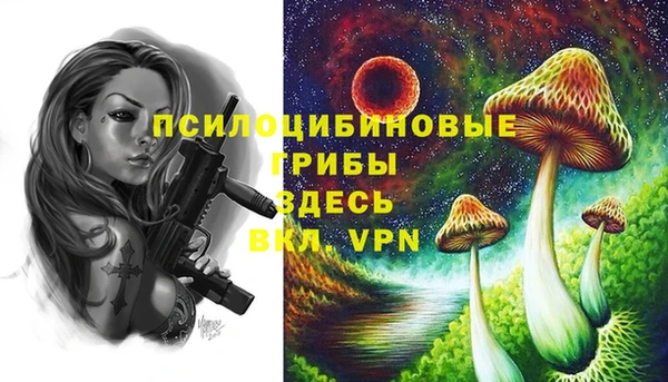 ПСИЛОЦИБИНОВЫЕ ГРИБЫ Пролетарск