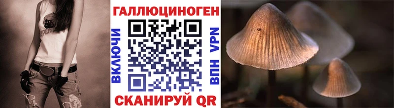 Псилоцибиновые грибы мицелий  Серов 