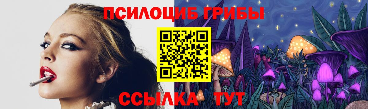 Серов  Галлюциногенные грибы мицелий  Вход с VPN  Галлюциногенные грибы Psilocybe 
